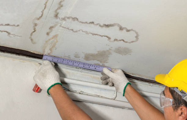 Reliable Water Damage Repair contractor in Grand Rapids, MI by Hirex Water Damage